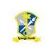 Synergy Guards Nigeria Limited logo